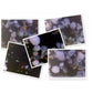 The Dust Mites Killer - Add £3 for 2nd
