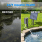 🔥 47% OFF 🐟 Solar-powered pond aerator with built-in air pump ☀️ Oxygenate the water effectively—without electricity costs 🌿