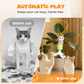 Automatic Retractable Cat Teaser Toy