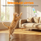 Automatic Retractable Cat Teaser Toy