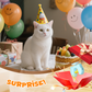 Automatic Retractable Cat Teaser Toy
