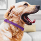 Adjustable Mosquito and Insecticide Collar for Cats and Dogs