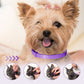 Adjustable Mosquito and Insecticide Collar for Cats and Dogs