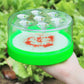 Reusable Non-Electric Fly Trap - Safe around kids, pets, and food.