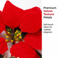 💥BUY 1 GET 1 FREE Today!!💞50K+ SOLD! 🎄✨ 50% OFF! Light‑Up Poinsettia Christmas Garland – 2m warm LED glow, vivid red blooms & holly leaves. Battery‑powered – no wall socket needed! Perfect for mantels, windows & tables. 🎅🕯️