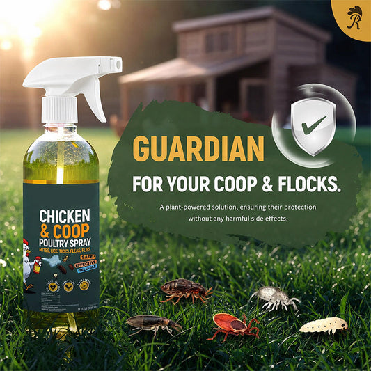 💞 Over 50,000 Sold! ⚡🐔 Natural cleaning spray for chicken coops – neutralizes odors & reduces germs
