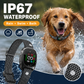 🛡️🐾 50% OFF! Anti Bark Collar – Smart anti‑false triggering filters out other barks. IP67 waterproof & USB rechargeable – worry‑free training anywhere! 💦✅