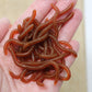 🎣 Soft Earthworm Lures – Shrimp scent, 50/100 pack ✨