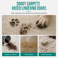 Waterless Fabric and Carpet Cleaner